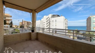 Pis – Elx - Elche - Vista 2