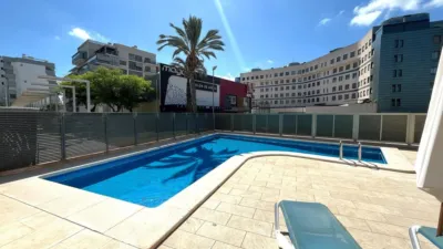 Pis – Elx - Elche - Vista 2