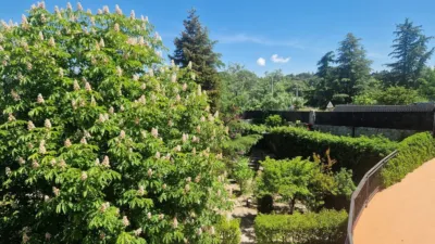 Chalet in Colmenarejo (Madrid) photo 80