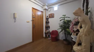 Pis – Torrevieja - Vista 5