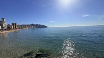 Apartment in Benidorm photo 30