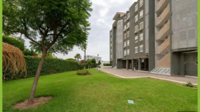 Apartment on Salvador Rueda Street photo 31