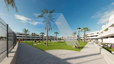 Pis – Guardamar del Segura - Vista 5