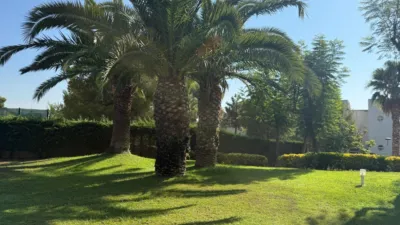 Apartment in Carrer del Fonoll photo 56