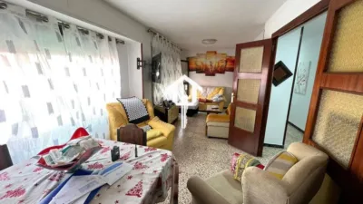 Apartment on Calle del Jazmín photo 15