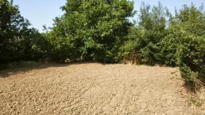 Rustic finca on Calle Verdeguera photo 24