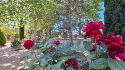 Rustic Finca in Devesa photo 64