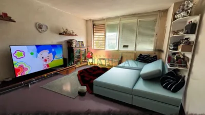 Apartment in Carlos Ruiz photo 3