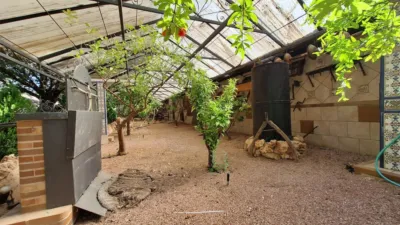 Rustic Finca in Devesa photo 67