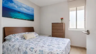Apartment in San Pablo photo 16
