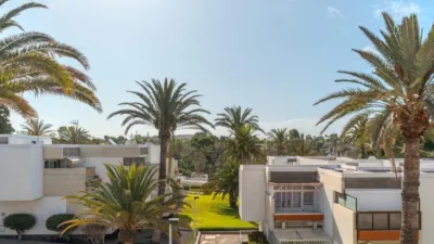 Apartment in Costa del Silencio-Las Galletas photo 3