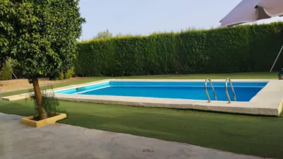 Rustic Finca in Andalucia photo 11