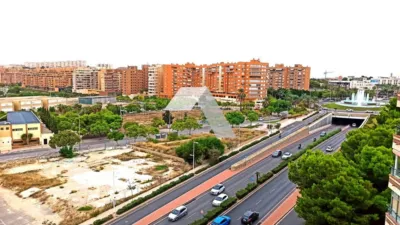 Apartment in La Goteta photo 16