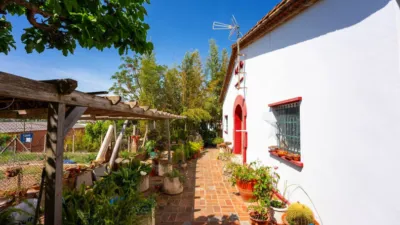 House in Cesalpina photo 44