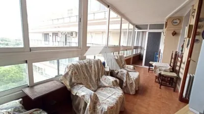 Apartment in La Goteta photo 8
