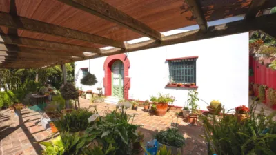 House in Cesalpina photo 43