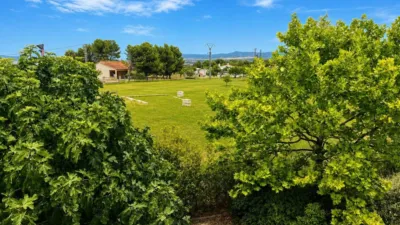 Single-family home in Almansa photo 5
