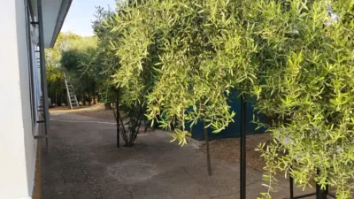 Rustic Finca in Andalucia photo 6