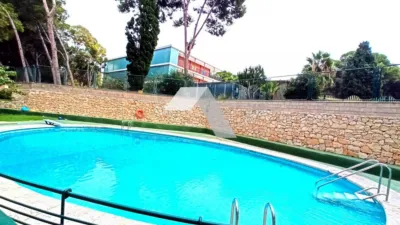 Apartment in La Goteta photo 15