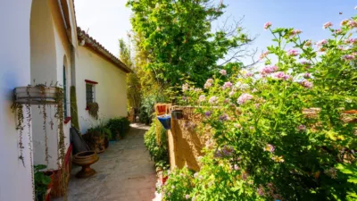House in Cesalpina photo 41