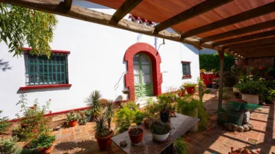 House in Cesalpina photo 3