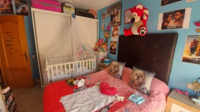 Apartment in El Ejido Town Centre photo 6