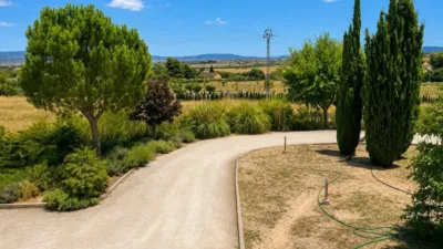 Single-family home in Almansa photo 6