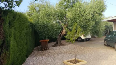 Rustic Finca in Andalucia photo 8