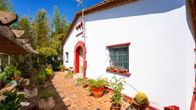 House in Cesalpina photo 2