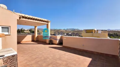 Penthouse in El Alamillo photo 10