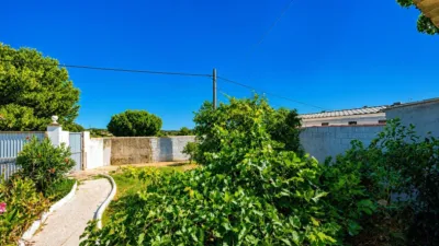 Chalet on 2nd Track of La Barrosa photo 71