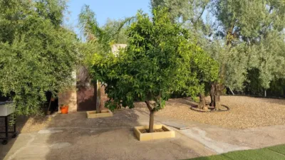 Rustic Finca in Andalucia photo 5