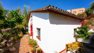 House in Cesalpina photo 45