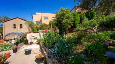House in Cesalpina photo 50