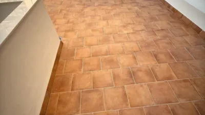Piso – Elche/Elx, la Tripa, el Baix Vinalopó - Vista 2