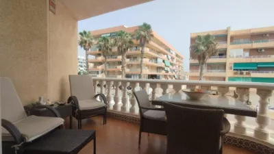 Pis – Guardamar del Segura, Urbanització Pinar de Guardamar - Vista 3