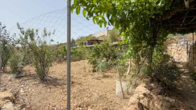Rustic Finca on Carretera TF-617 photo 50