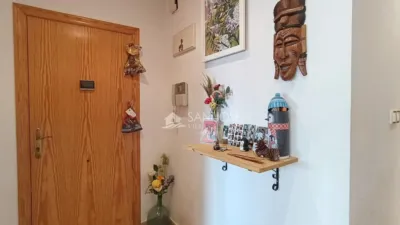 Piso – Monforte del Cid, Mujeres Deportistas - Más