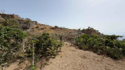 Rustic Finca on Carretera TF-617 photo 57