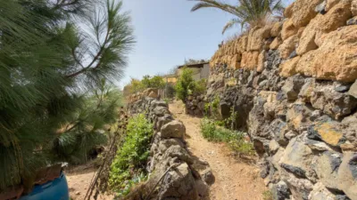 Rustic Finca on Carretera TF-617 photo 73