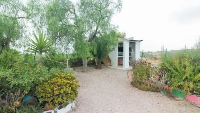 Rustic Finca in Partida Fossos photo 23