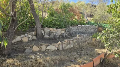 House in Andalusia photo 10