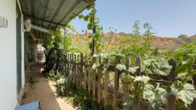 Rustic Finca on Carretera TF-617 photo 42
