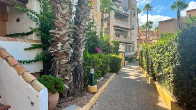 Apartment in Playa de los Locos photo 8