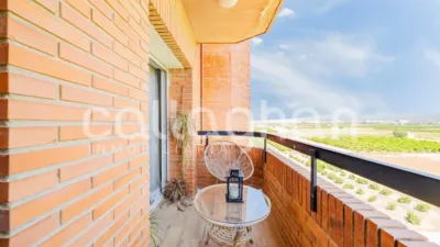 Apartment in Costa de Valencia photo 17