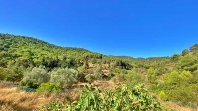 Rustic Finca in Sierra Espuña photo 36
