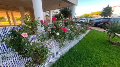 Apartment in Nuevo Portil photo 20