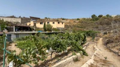 Rustic Finca on Carretera TF-617 photo 46