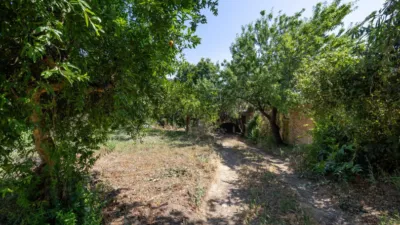 House on Camino de los Parrales photo 5