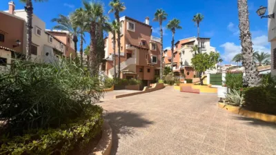 Apartment in Playa de los Locos photo 18